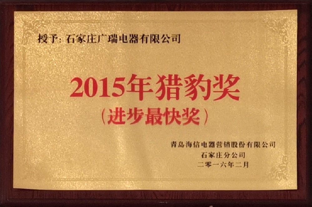 2015年猎豹奖（进步最快奖）