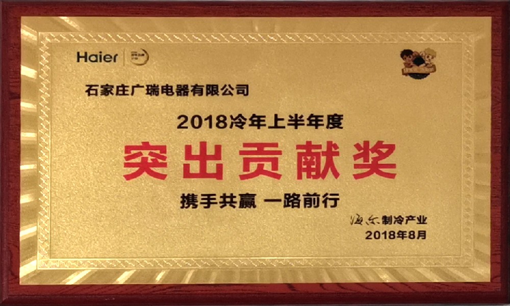 海尔2018冷年上半年度突出贡献奖