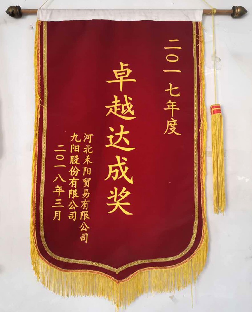 九阳卓越达成奖